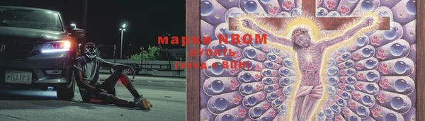гашик Кострома