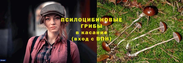винт Кукмор