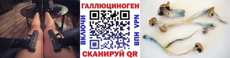 Галлюциногенные грибы Psilocybe  как найти закладки  Ростов-на-Дону 