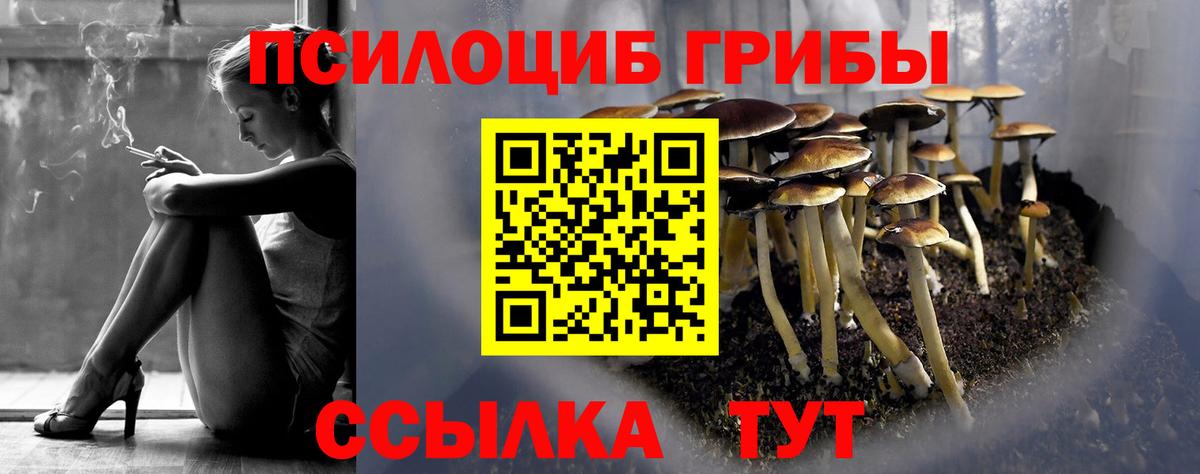Псилоцибиновые грибы Cubensis Ростов-на-Дону