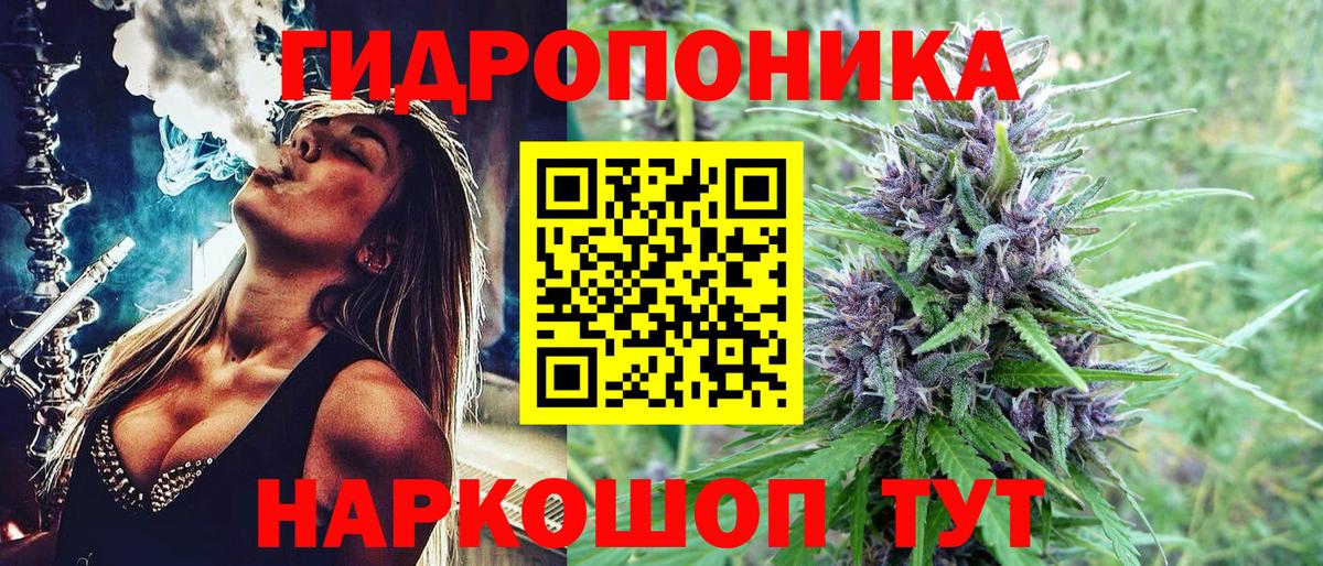 Шишки марихуана LSD WEED  Ростов-на-Дону  Марихуана семена  Шишки марихуана план 